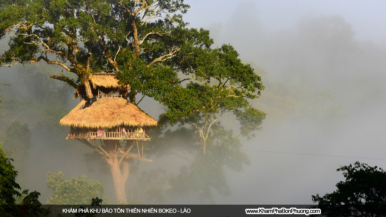 Khám phá khu bảo tồn thiên nhiên Bokeo, Lào