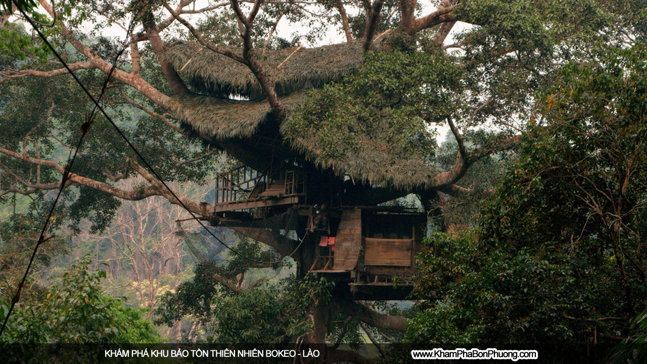 Khám phá khu bảo tồn thiên nhiên Bokeo, Lào