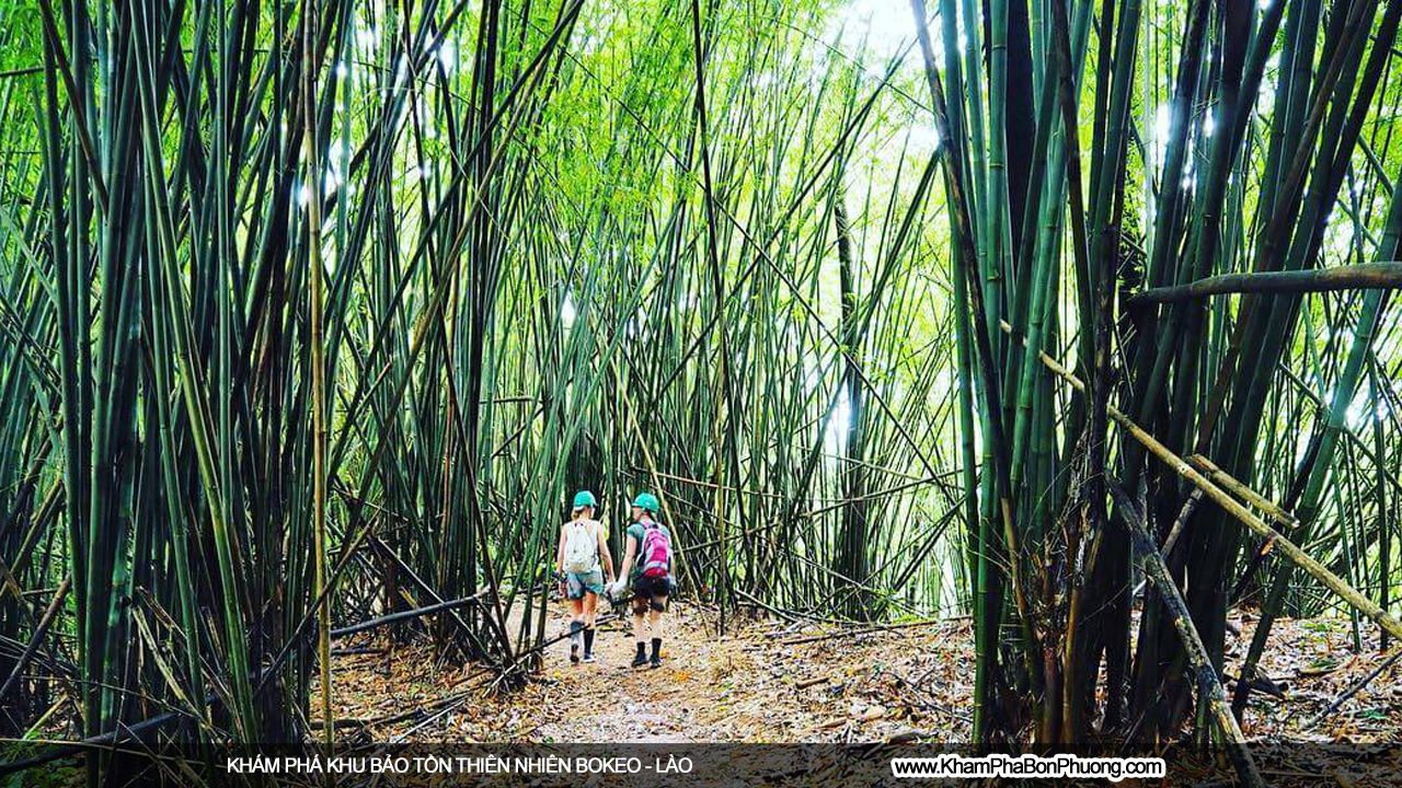 Khám phá khu bảo tồn thiên nhiên Bokeo, Lào