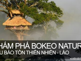 Khám Phá Khu Bảo Tồn Thiên Nhiên Bokeo - Lào
