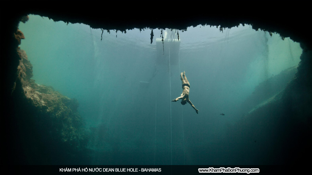 Khám Phá Hố Nước Dean Blue Hole, Bahamas | www.KhamPhaBonPhuong.com