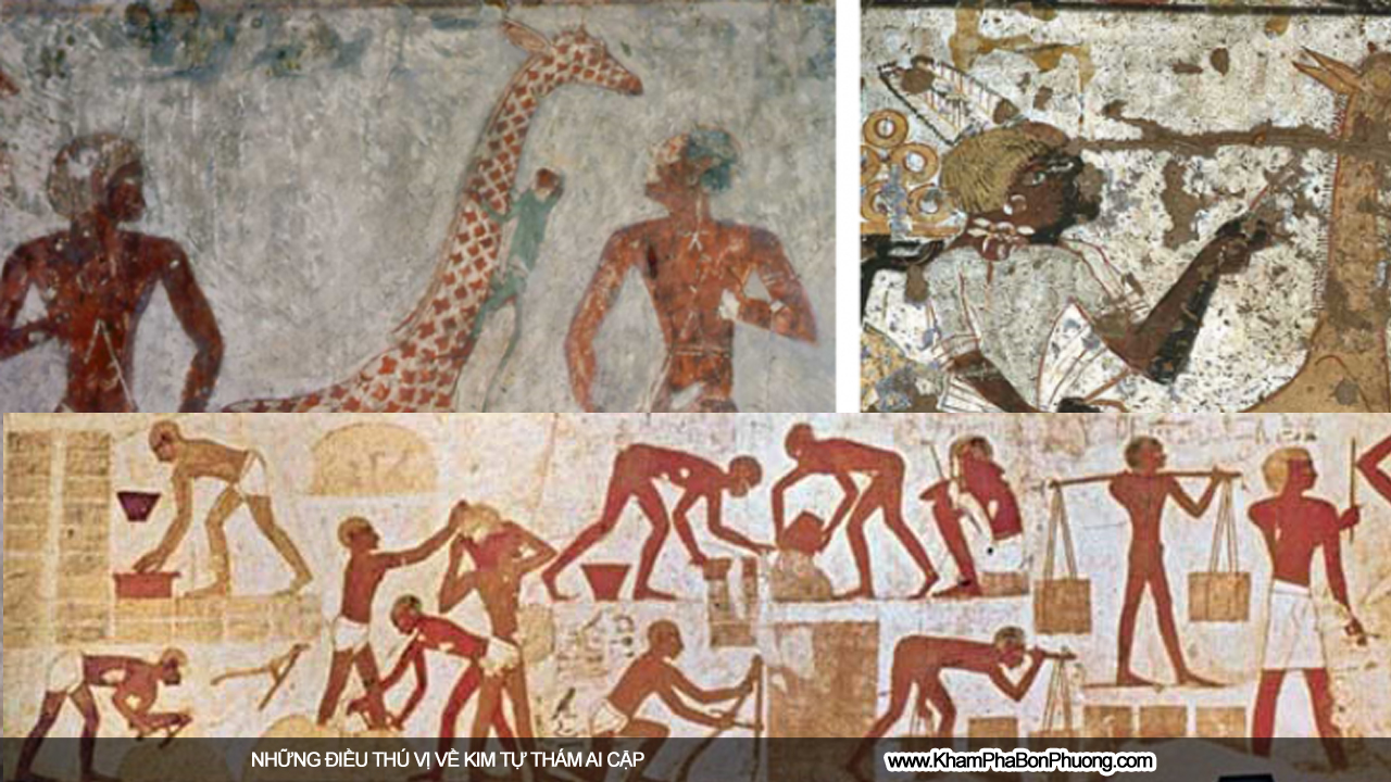 Khám Phá 10 Điều Thú Vị Kim Tự Tháp Ai Cập