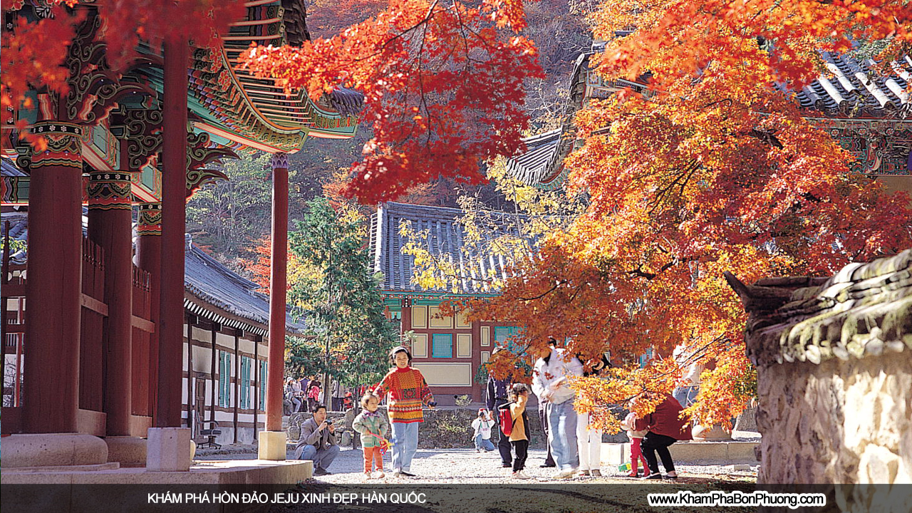 Khám phá hòn đảo Jeju, Hàn Quốc | www.KhamPhaBonPhuong.com