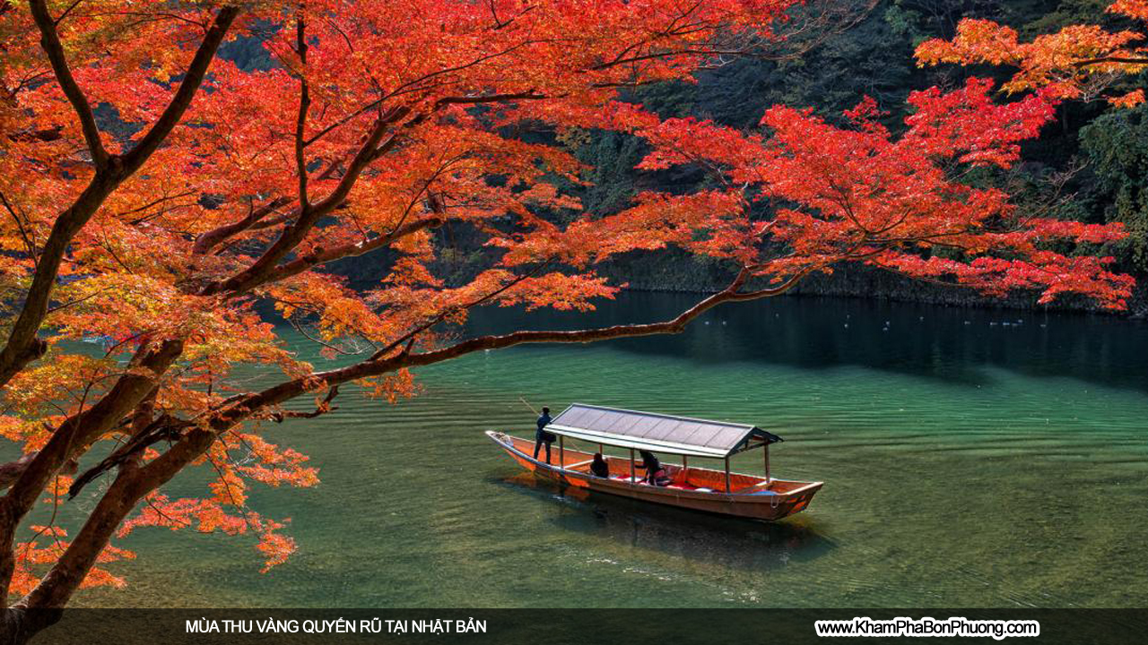 Mùa thu vàng quyến rũ tại Nhật Bản | Khám Phá Bốn Phương