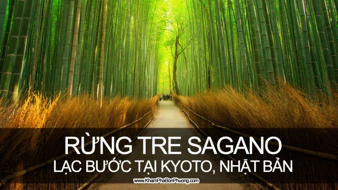 Lạc bước giữa rừng tre Sagano, Kyoto, Nhật Bản | Khám Phá Bốn Phương