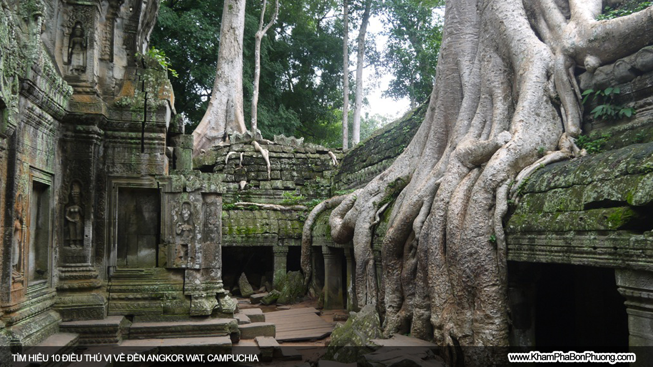Khám phá 10 điều thú vị về Angkor Wat, Campuchia | Khám Phá Bốn Phương